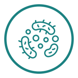 Equilibra la microbiota intestinal